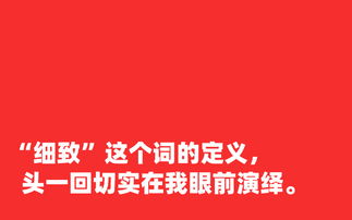 一个广告人的朋友圈 地球爆炸了,广告也不会死